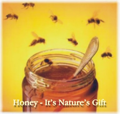 Honey  Jar 